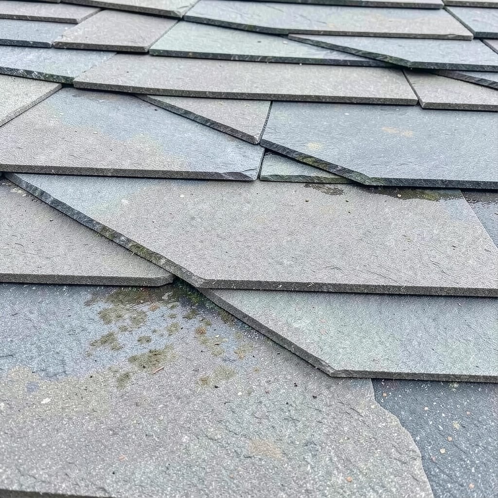 Best Roof Design Ideas